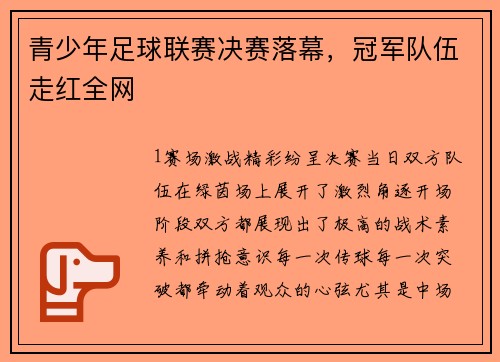 青少年足球联赛决赛落幕，冠军队伍走红全网